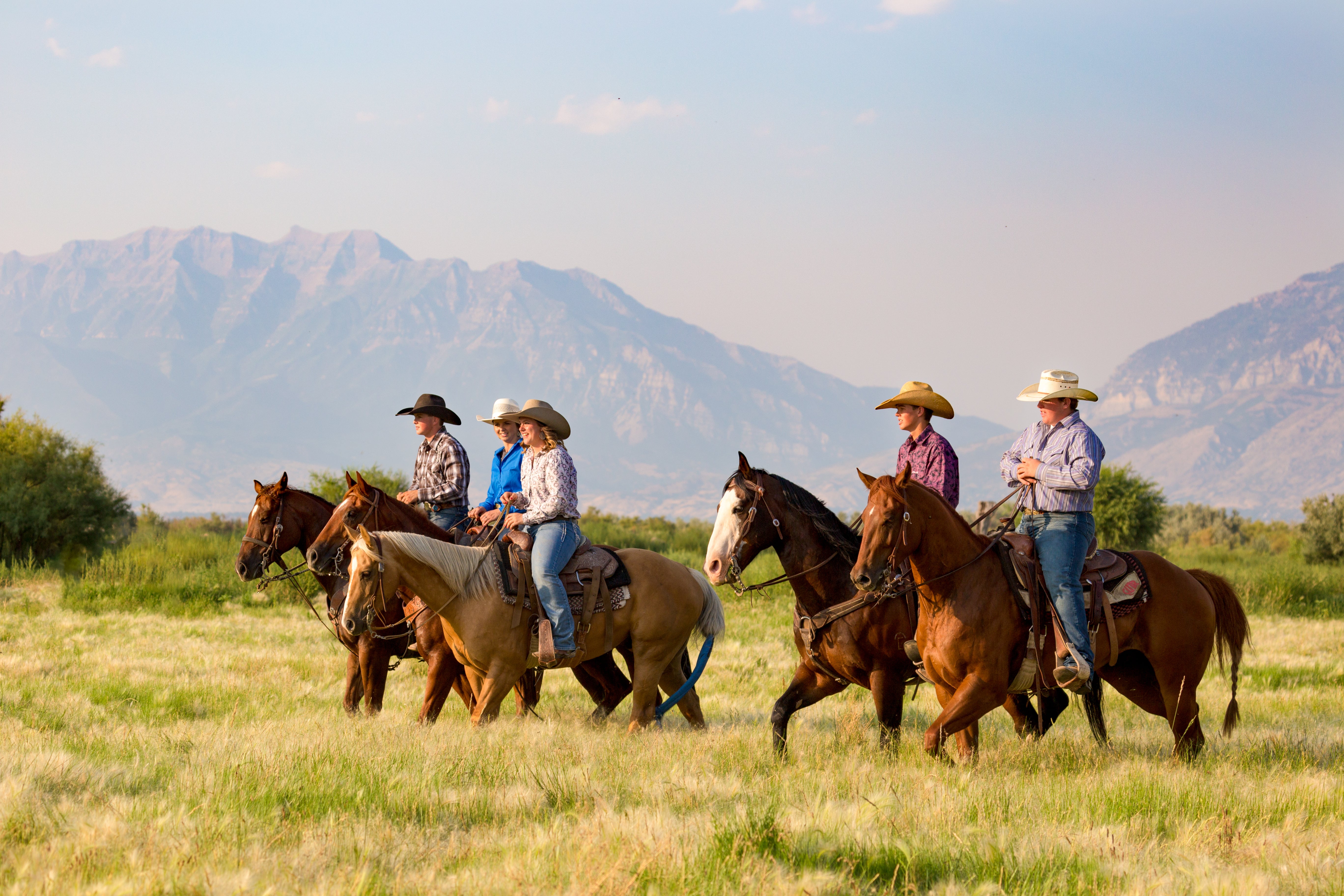 The High-Tech Rancher: Merging Tradition with Technology for Enhanced ...
