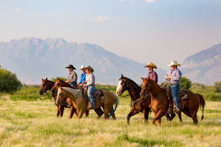 The High-Tech Rancher: Merging Tradition with Technology for Enhanced Safety and Management